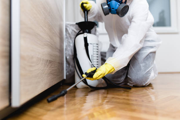 Best Best Pest Control Companies  in Bassett, VA