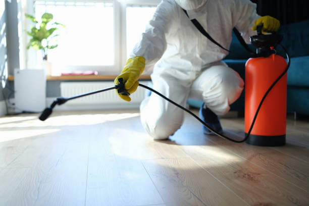 Best Affordable Pest Control Services  in Bassett, VA