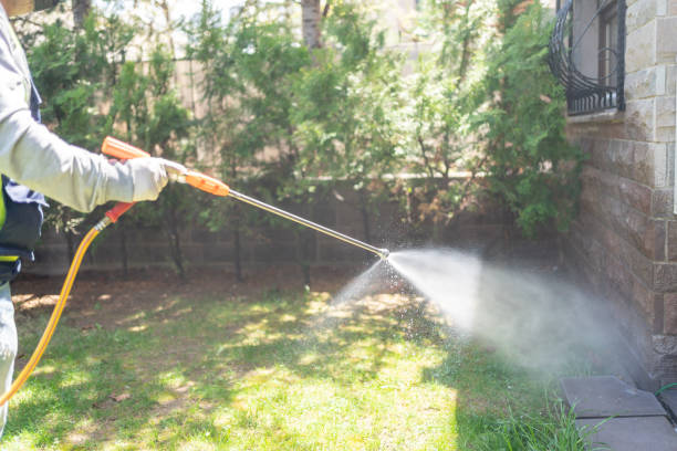 Best Pest Control Near Me  in Bassett, VA
