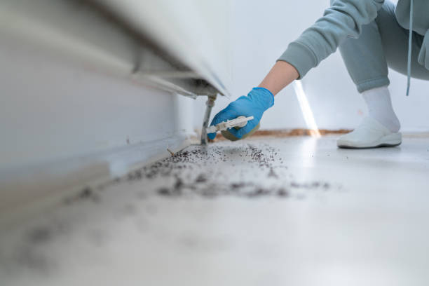Pest Control Cost in Bassett, VA